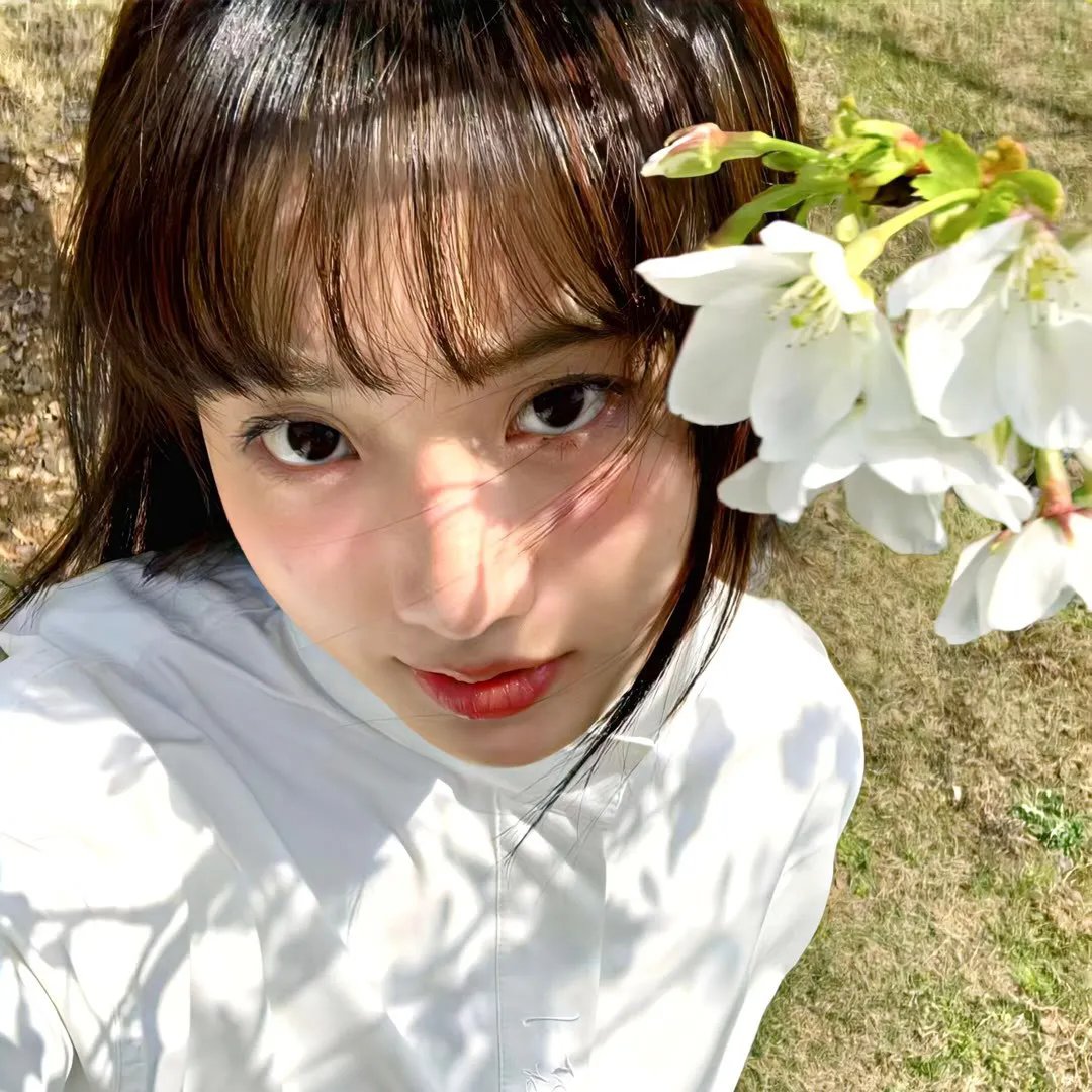 粉红蝴蝶