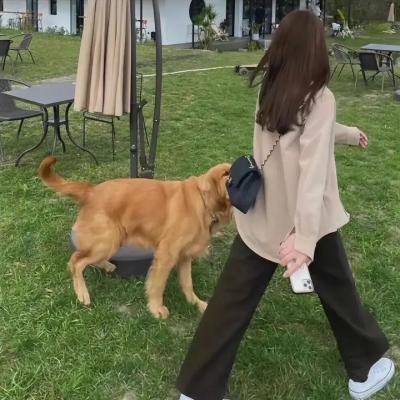 马兰花