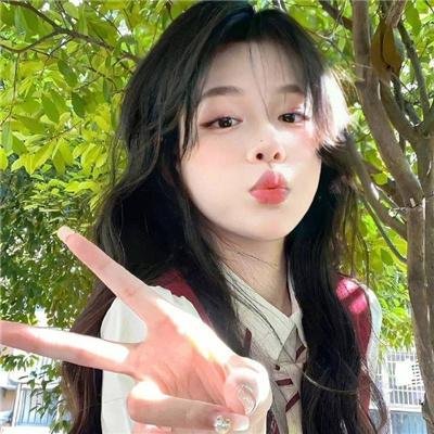 大明星醒目狗